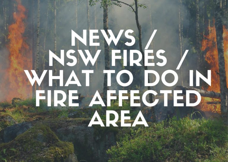 News / NSW Fires / Know what to do in fire affected area
