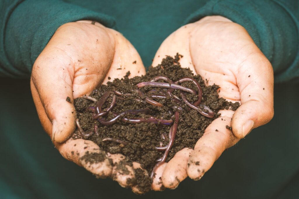 worm farm composting spacesave